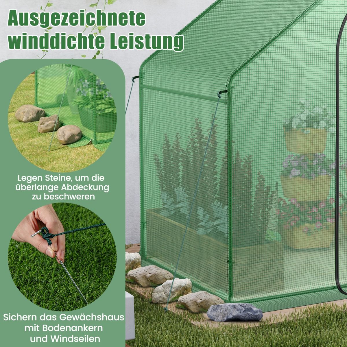 Foliengewächshaus, Gewächshaus groß, Begehbarer Gewächshaus mit PE-Abdeckung & Roll-Up Reißverschluss-Tür & Fenster, 179x100x167 cm, Grün, Costway, 6